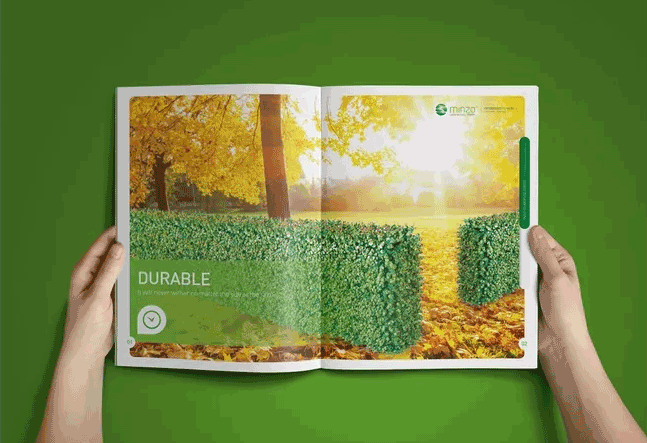 綠色主題畫冊  第5張