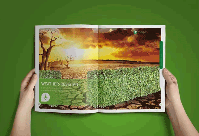 綠色主題畫冊  第4張