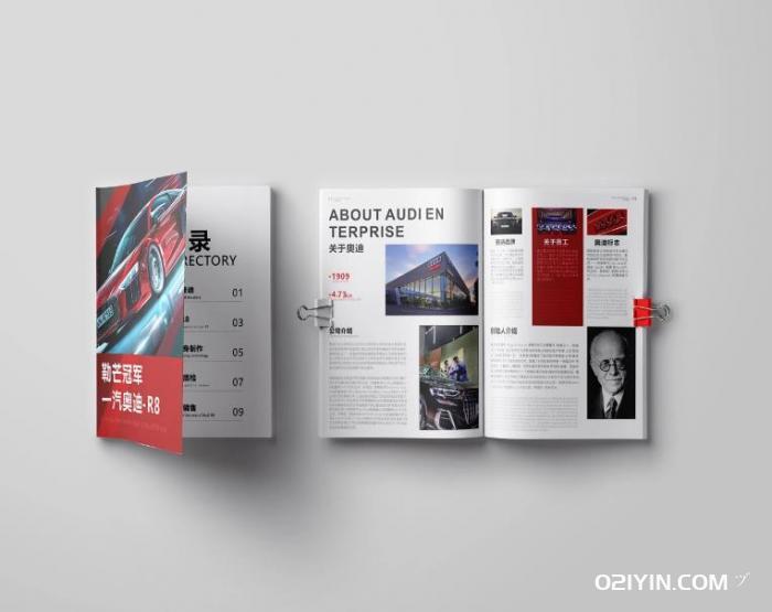 奧迪轎車(chē)畫(huà)冊(cè)  第3張